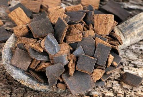 补骨叶苷主要成分以及功效是什么