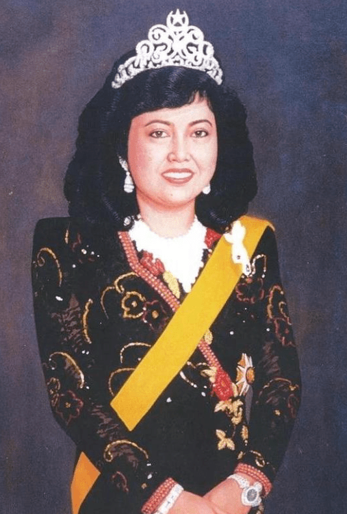 文莱王后好手段:国王两次纳妾都被挤走,小国王33岁娇妻不是对手