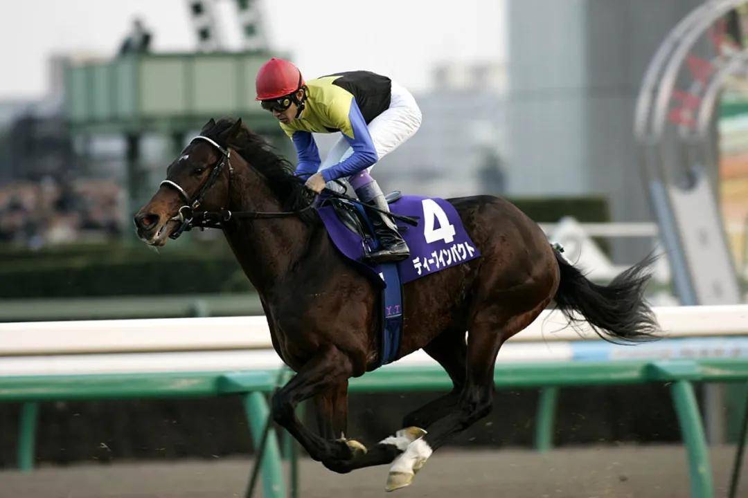 和力馬業大手筆佈局國產純血馬繁育:重金購入日本史上最強賽馬