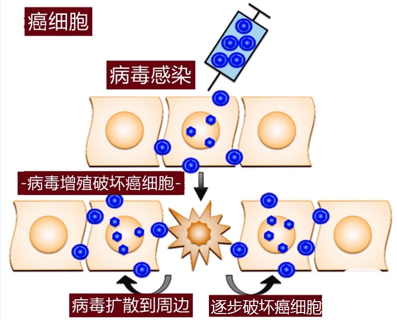 608a63d6ca544dcca1c66996913d095c.png