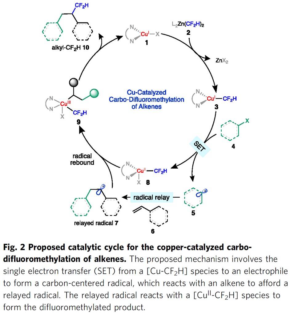 自由基稳定性最高的碳环 759ae04ee73a4e6ebae281a12e49516d.jpeg