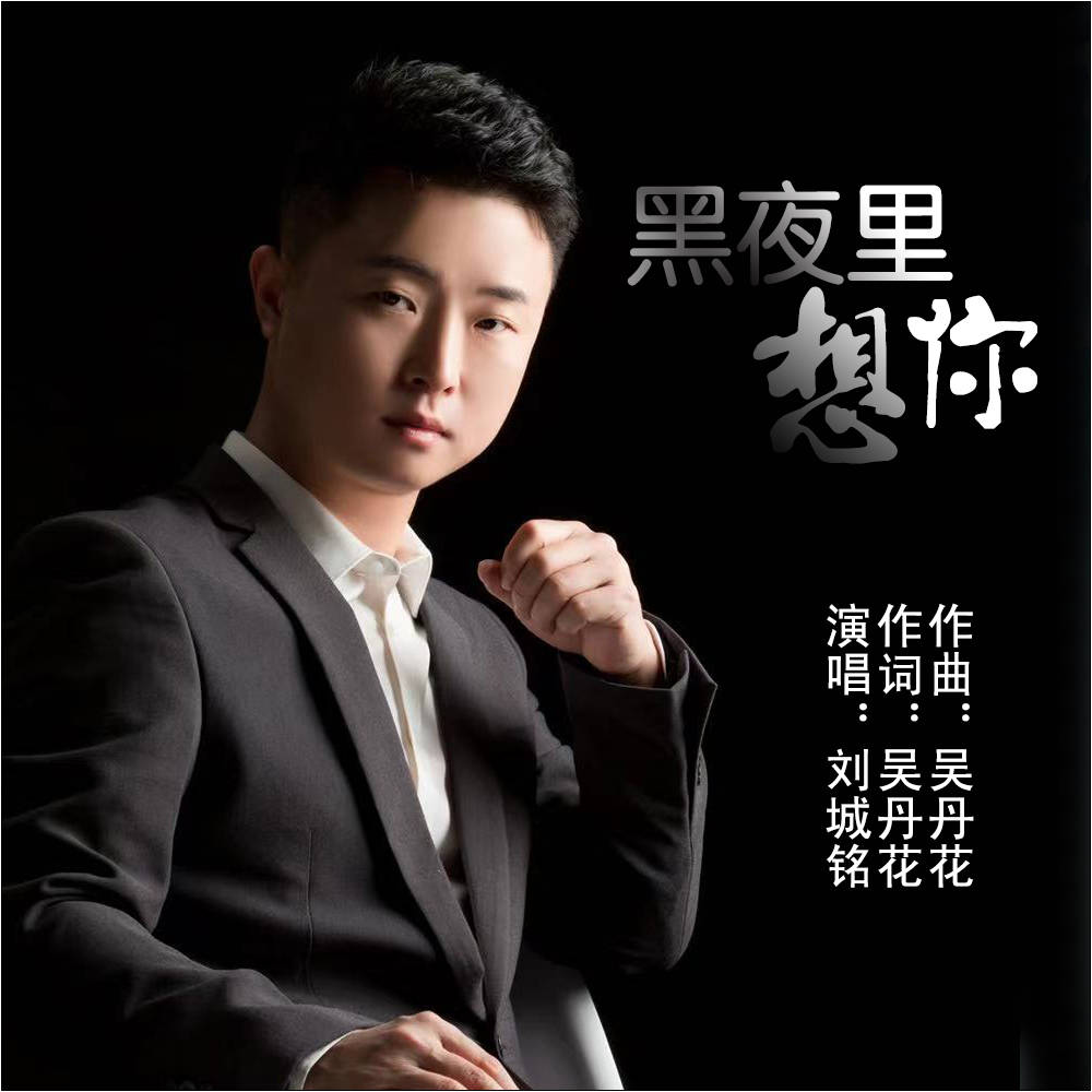 黑夜里想你 演唱:刘城铭 词曲:吴丹花