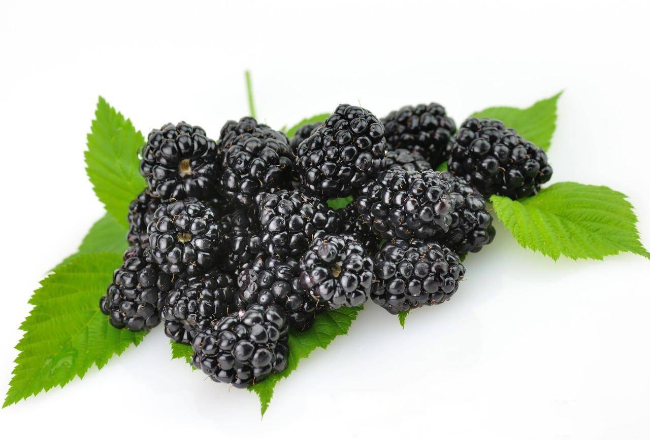 拉稀吃什么食物效果好 e1305a5e5c464e569c517d9dd3e70e8f.jpeg