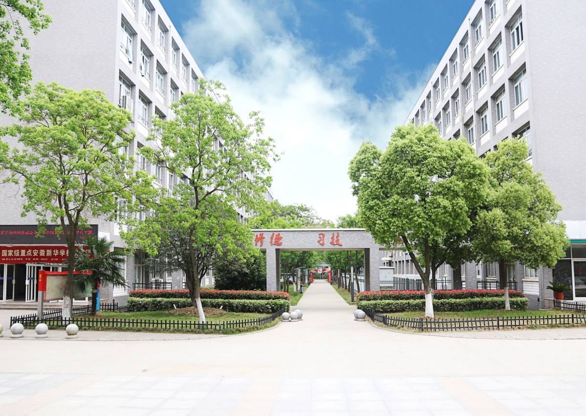 二十四载不忘初心,勇担新时代教育使命——安徽新华学校匠心育人铸就