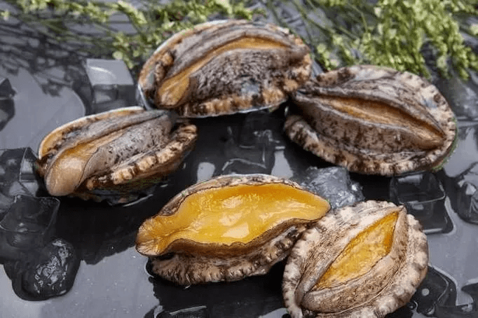 怎么挑选新鲜鲍鱼 8dba6207c7554bd68b029a26fd55e484.png