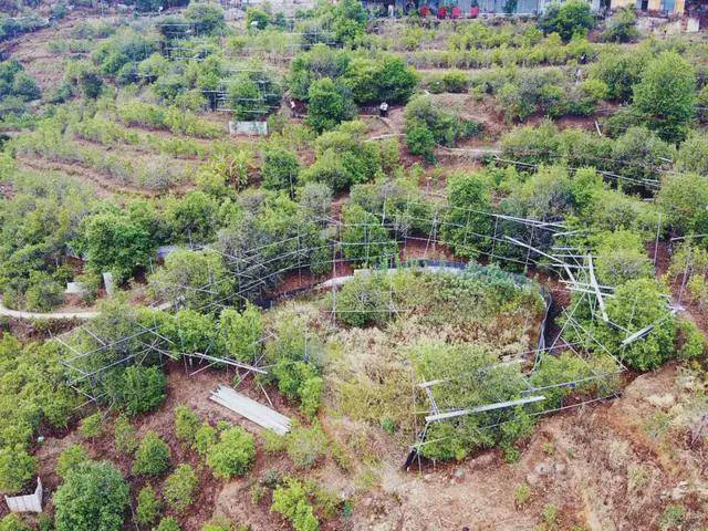 探访云南省临沧市双江县冰岛老寨整体搬迁