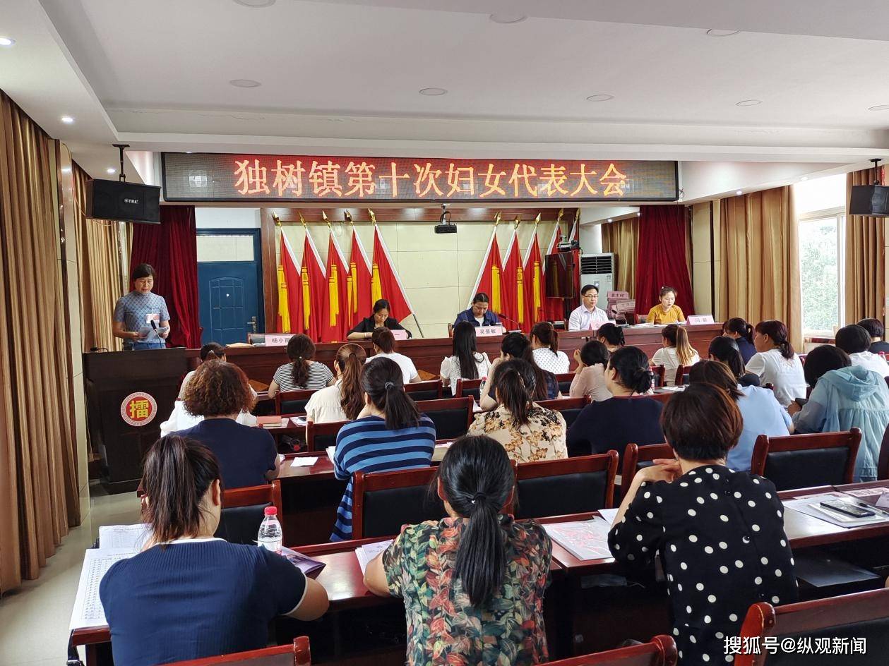 方城县独树镇第十次妇女代表大会成功召开