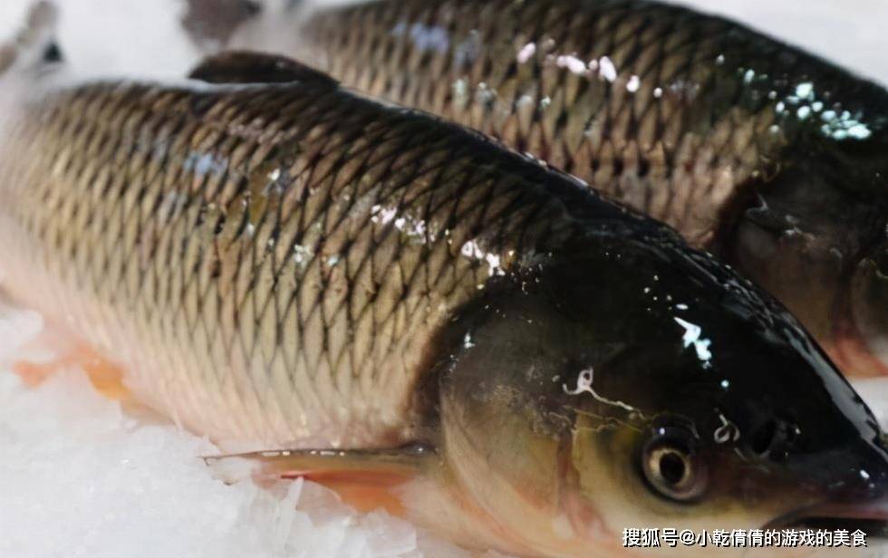 做法|把一整条鱼放进电饭锅里,头一次见这种做法,鱼肉出锅后满屋飘香!