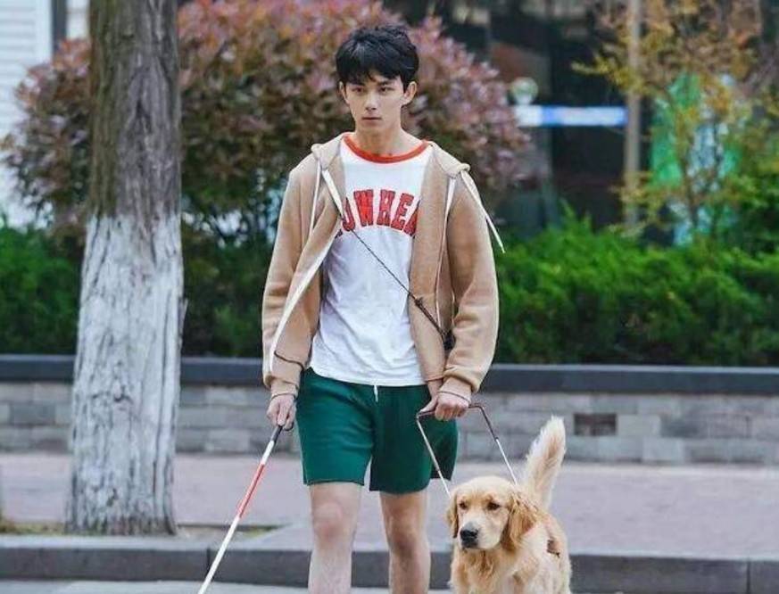 而她整容后这些网友还是对她依依不饶说道：“可惜了可惜