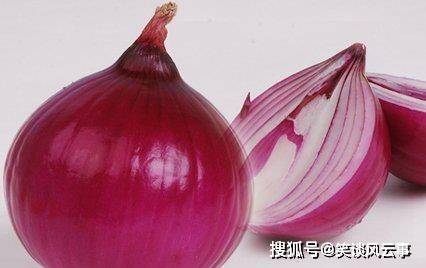 蛇最怕什么东西 夏天如何正确防蛇 动物