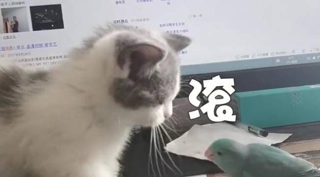 怎么样让自己吐出来 0814929d7cb84005b065b470a6db191e.jpeg