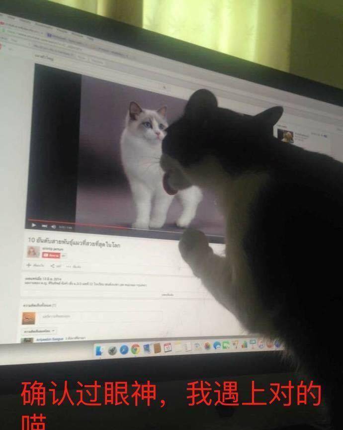 985529c55b704cb5871938ef7bd6a89d.jpeg