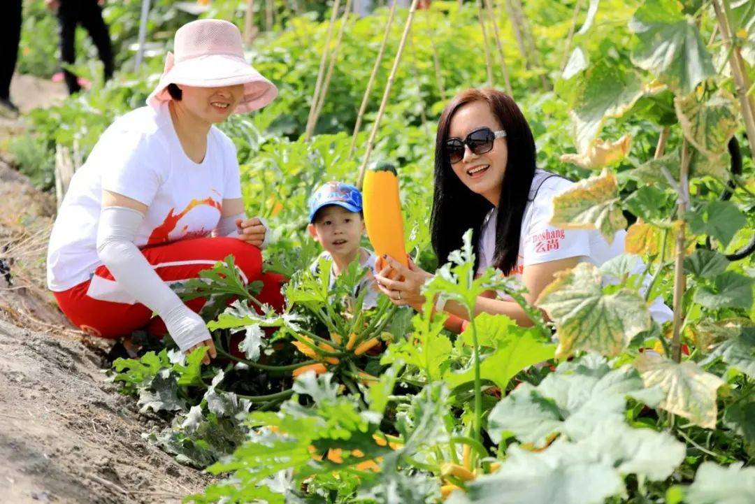 【园区管理】最符合休闲农场气质的项目—采摘