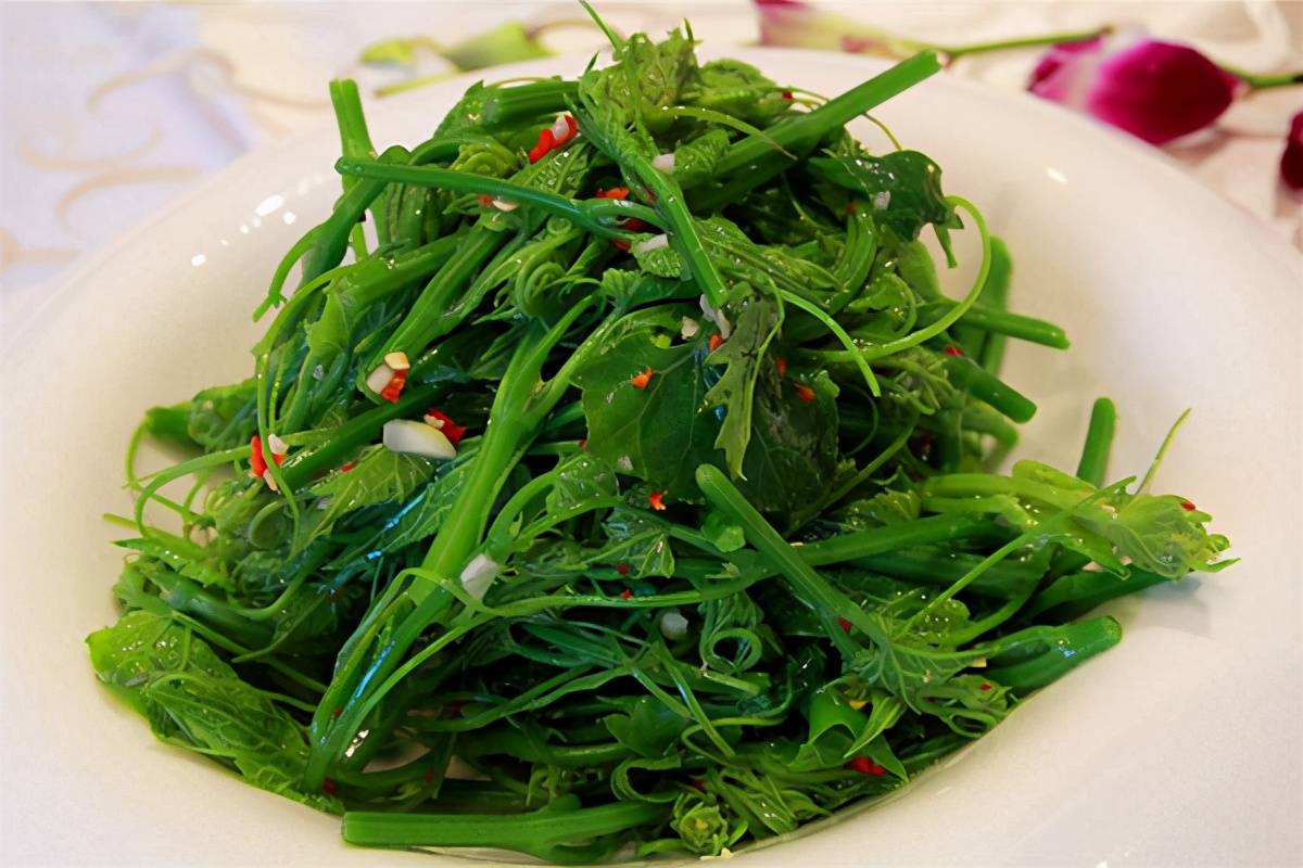 瓜尖尖怎麼做最好吃？ 熱愛美食 第5张
