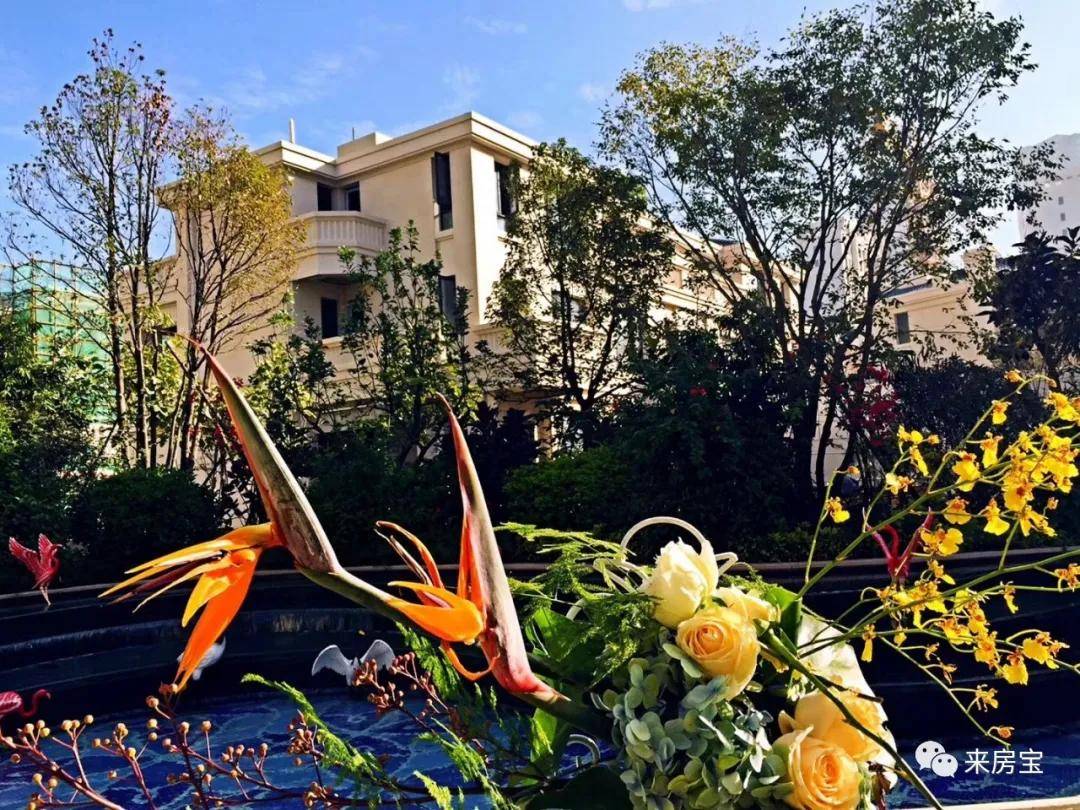 厦门海沧厦门华玺为什么这么多人买原因何在官