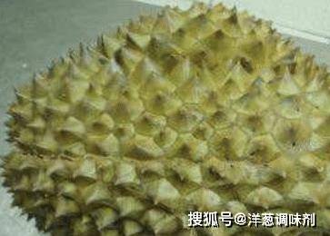 f05a837d1ae445319cff440b3a99c076.jpeg