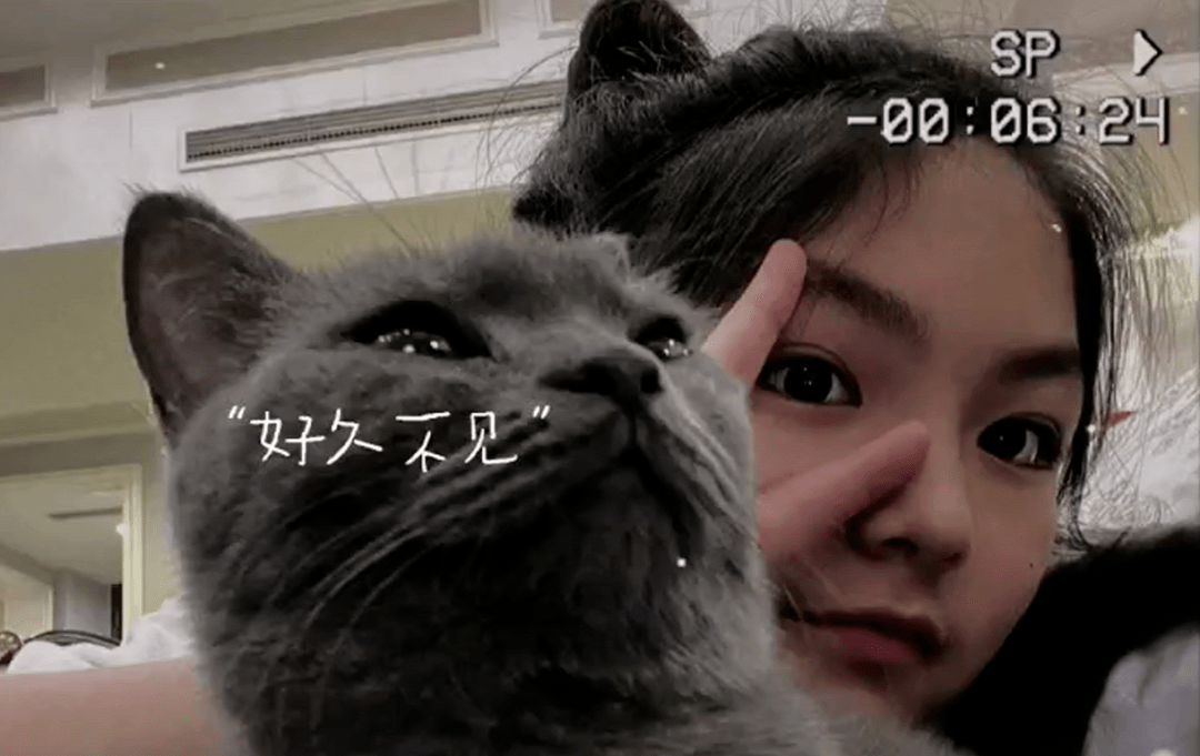 美人|11岁王诗龄身高直逼爸爸，大眼高鼻梁神似李湘，初见美人潜质