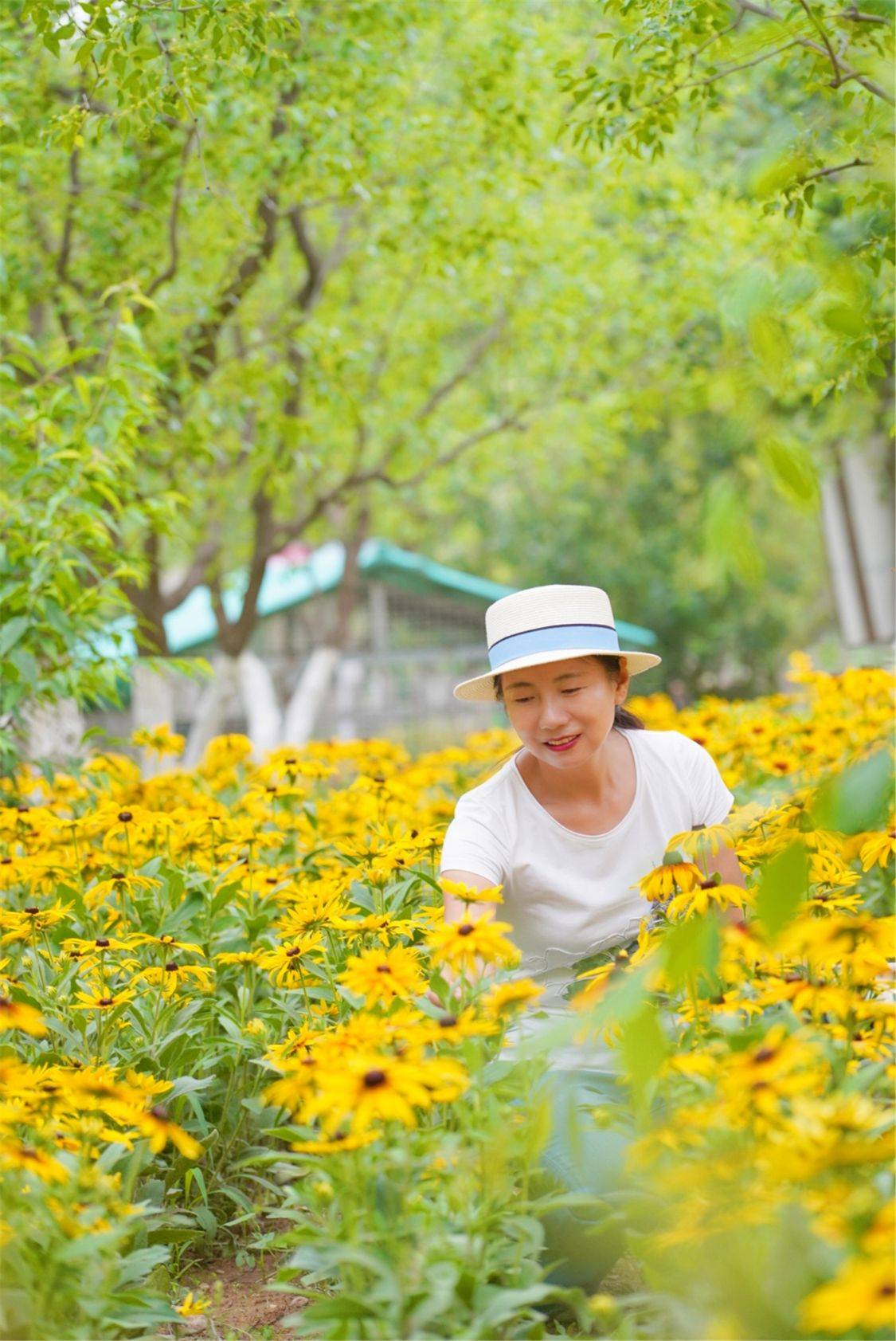 记忆|延庆最受欢迎的青山园亲子乐园，夏日游玩避暑好去处