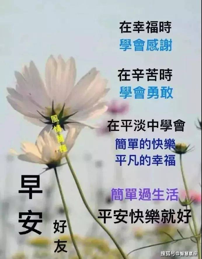 7月2日早上好问候朋友最漂亮的祝福语图片早上好温馨祝福表情图片带字 人生