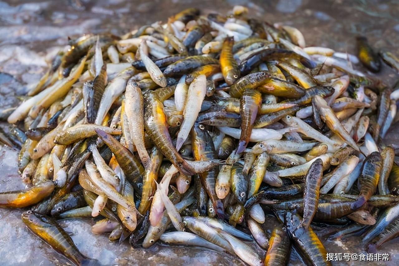 原创儿时河里的小杂鱼,如今成鱼中珍馐,40元一斤,7月最是鲜美时