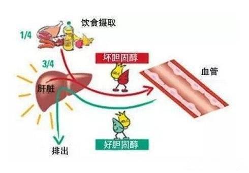 4f85b55d49d14c76a8f486e1cf7c5cb6.jpeg