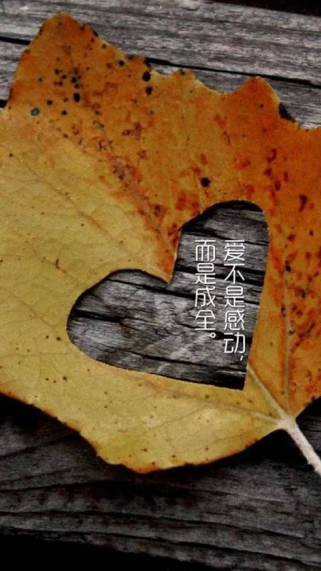 原创写给傻傻自己的暖心佳句句句说透人心总有一句触动你