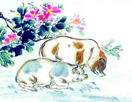 女人梦到猪,预示富贵与和谐的神秘符号 女人梦到猪,预示富贵与和谐的神秘符号