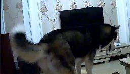 监控下的罪行 999f444c82964b5dbf9fde18e34fc83b.jpeg