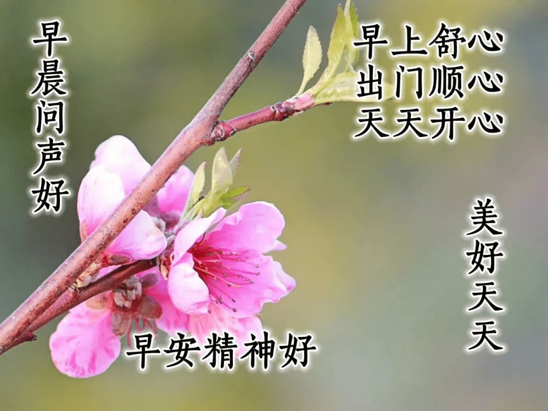 a3cb3b8cda924362861a0fd2e90774b9.png