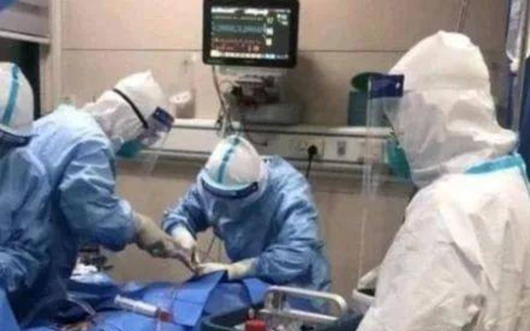 现在是什么病毒发热 20f71eea72b9491087dcea4a75159b46.jpeg