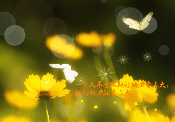 36209489b53f47718a0409eb023a9999.png