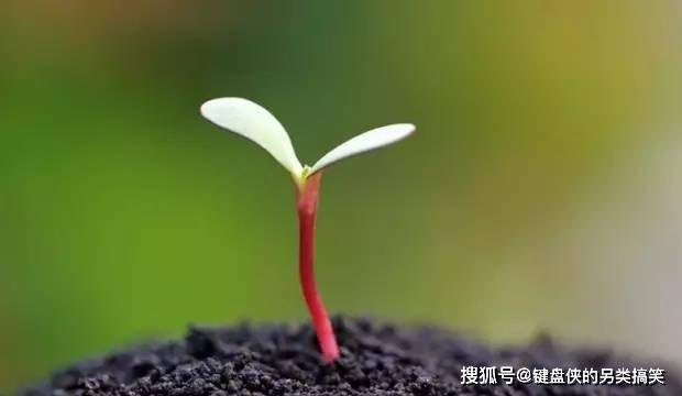 9ee505e3a3e74e1dbcf870ef5727eb09.jpeg