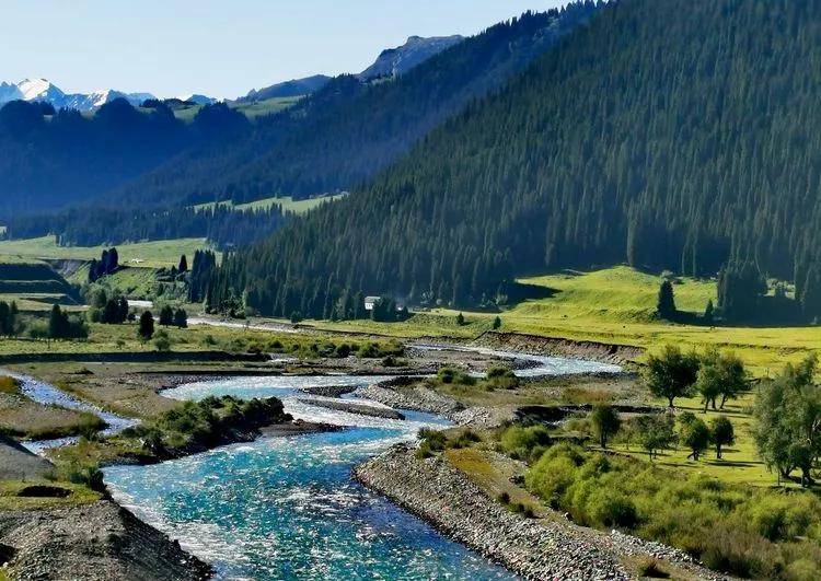 伊犁百里画廊唐布拉