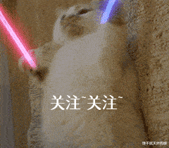软食|柯基犬口臭严重怎么办？这几招，轻松帮你解决！