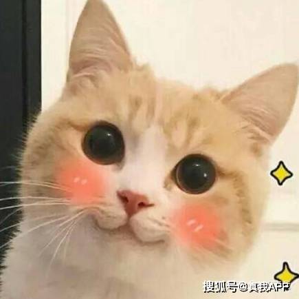 什么|“美肤基因检测”，让你的美白效果最大化，避免过敏和踩雷