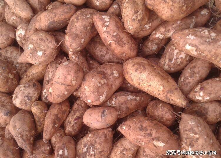 卖番薯的豆妈是啥玩意 6f3b2b20f166462ea184a243e27f2709.jpeg