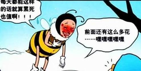 2926d466c64c40ab848f2daf5027724e.jpeg