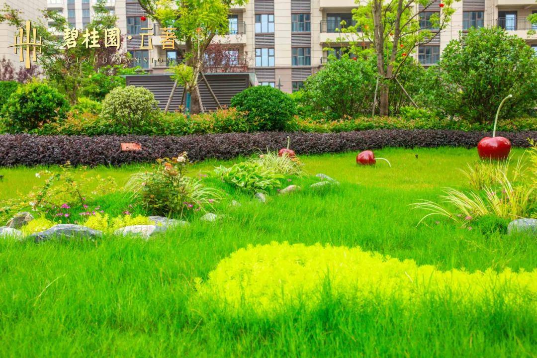 幸福归家季|南陵碧桂园·云著再迎盛大交付