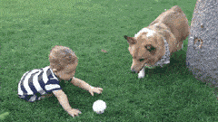 整张|“你是不是傻?愣着干啥,快帮忙啊!”