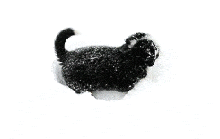 雪地|千万不要在下雪时带狗子出去玩，铲屎官：被自家狗子“蠢哭”了