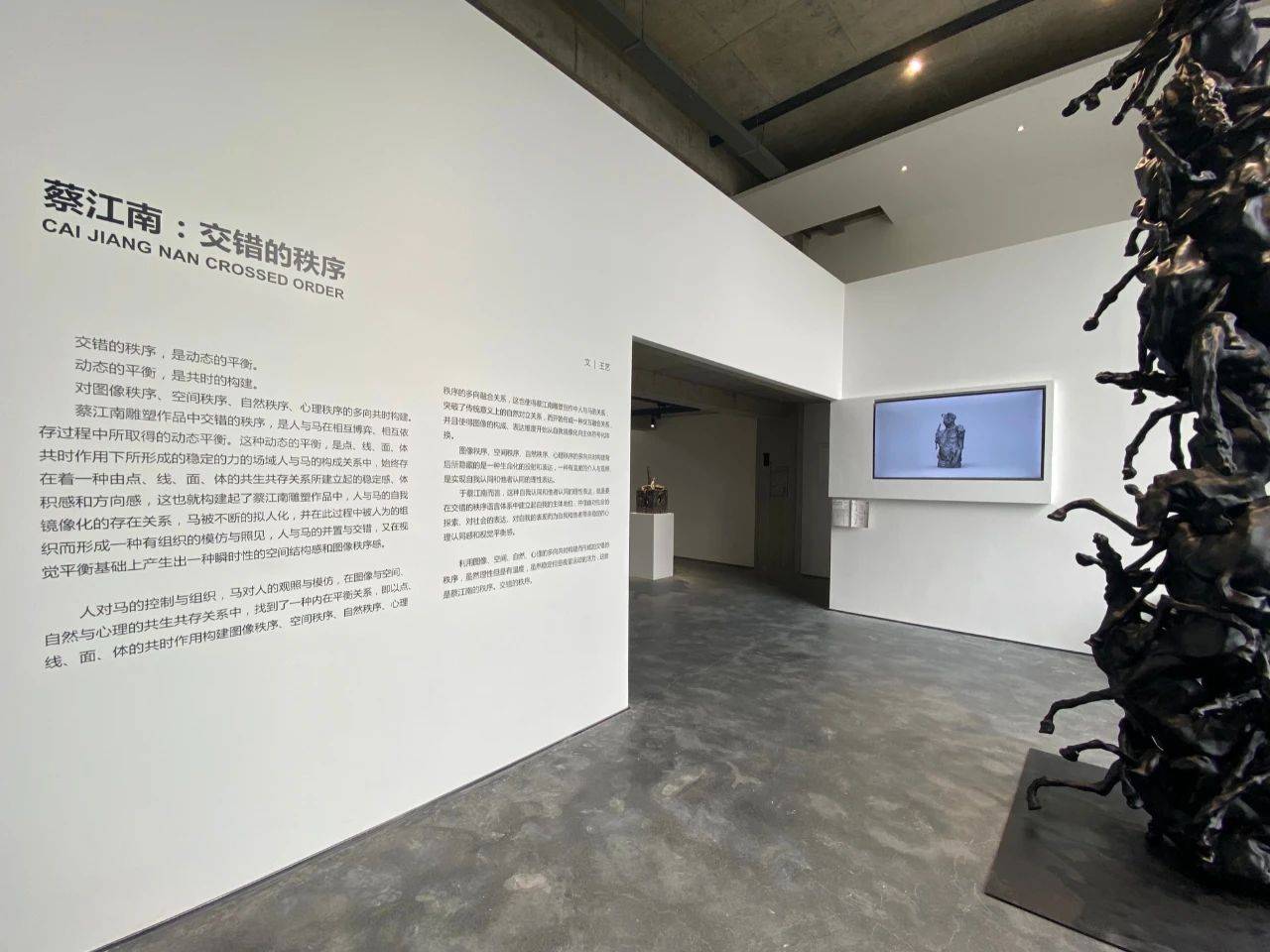 厦门103研究所落成,首展呈现蔡江南的“交错的秩序”