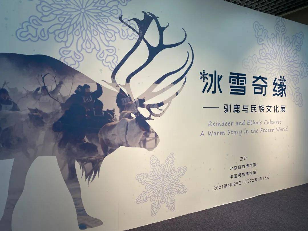 展讯|“冰雪奇缘——驯鹿与民族文化展”在北京自然博物馆开幕_展览