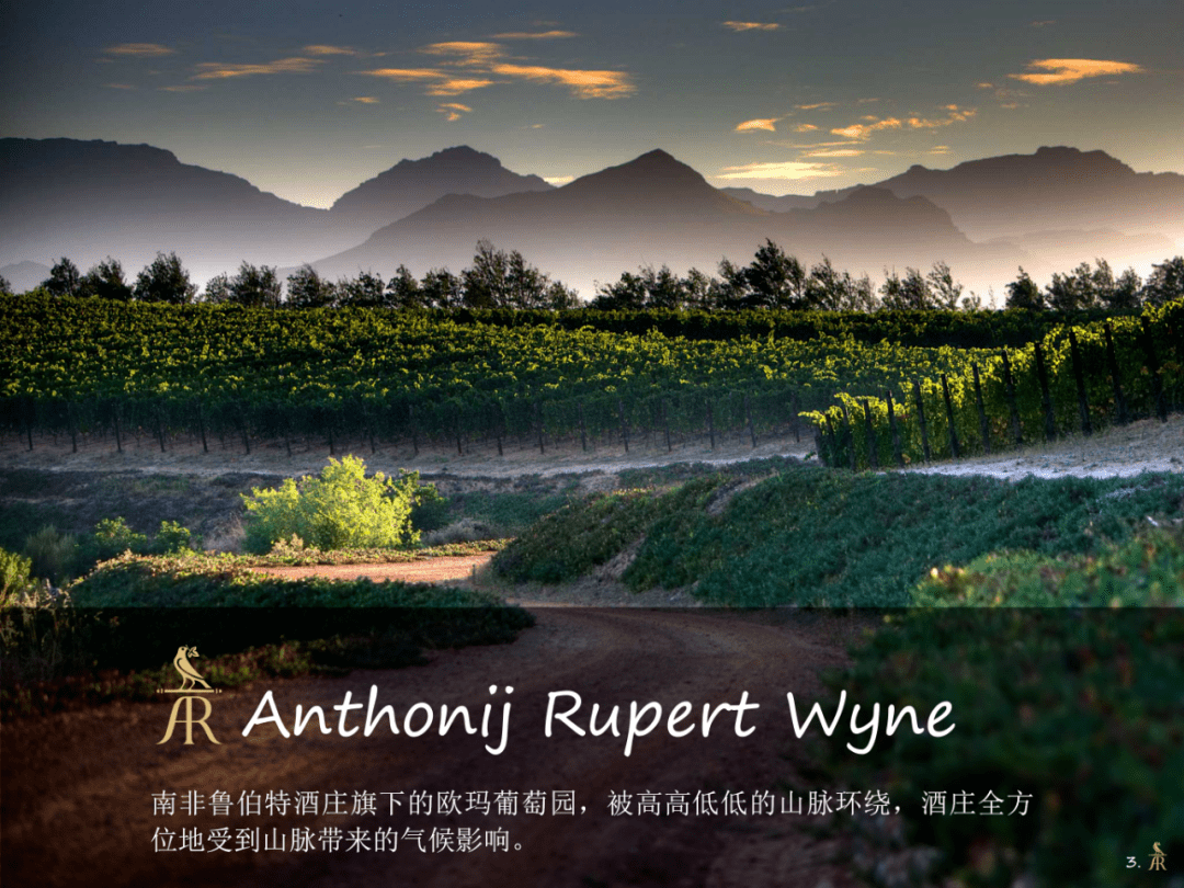南非顶级名庄安东尼鲁伯特8月将亮相winetoasia深圳国际酒展