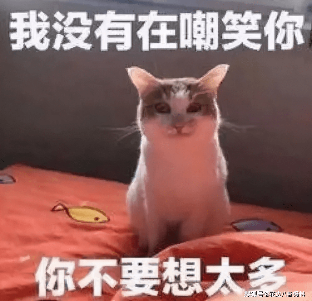 3ecfaec0f1914389b00a461033417af0.png