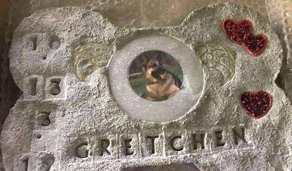 邮差|狗狗从攻击邮差到每天翘首期盼,不久邮差收到心碎回信:把爱延续