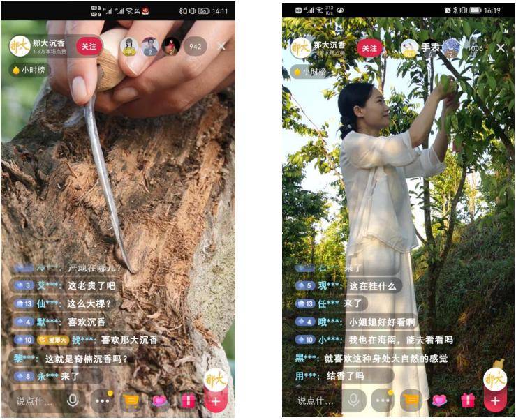 沉香排行_那大沉香以品牌直播助力乡村振兴,主播请就位!
