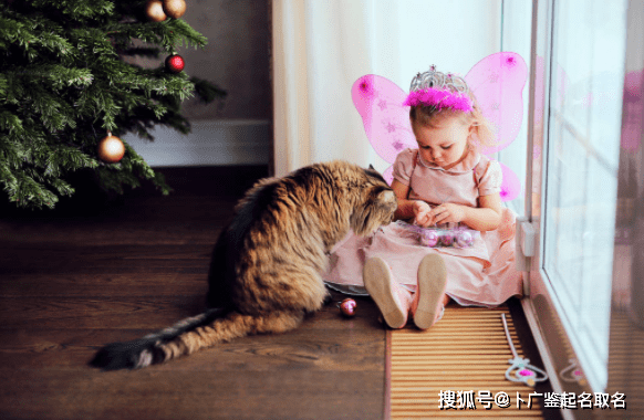 属牛宝宝起名改名 适合女孩子的那些动人名字,你是否选对了