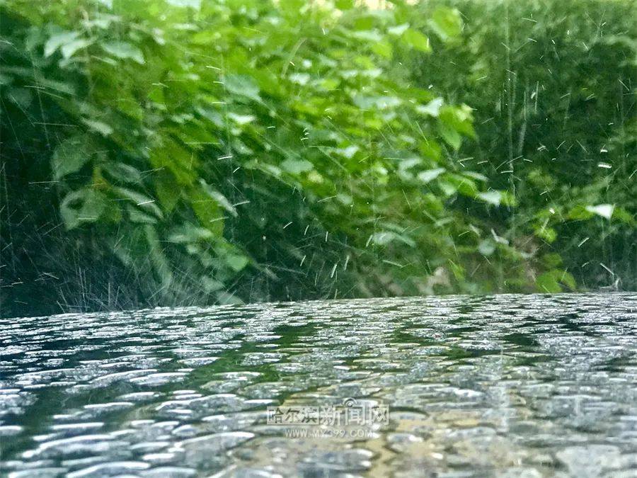 百晓生今日小暑丨冰城刚刚入夏体感凉爽中雨过后还会更凉爽 太阳城论坛 Www Com 118图库彩图118 Www Com Www Com 澳门码今晚开奖现场 Www 3608 Com 1726 Com 澳门六合开奖现场 澳门必中三肖三码