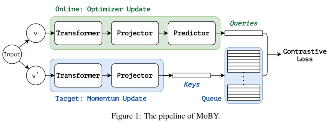 MoCo|Swin Transformer为主干，清华等提MoBY自监督学习方法代码已开源
