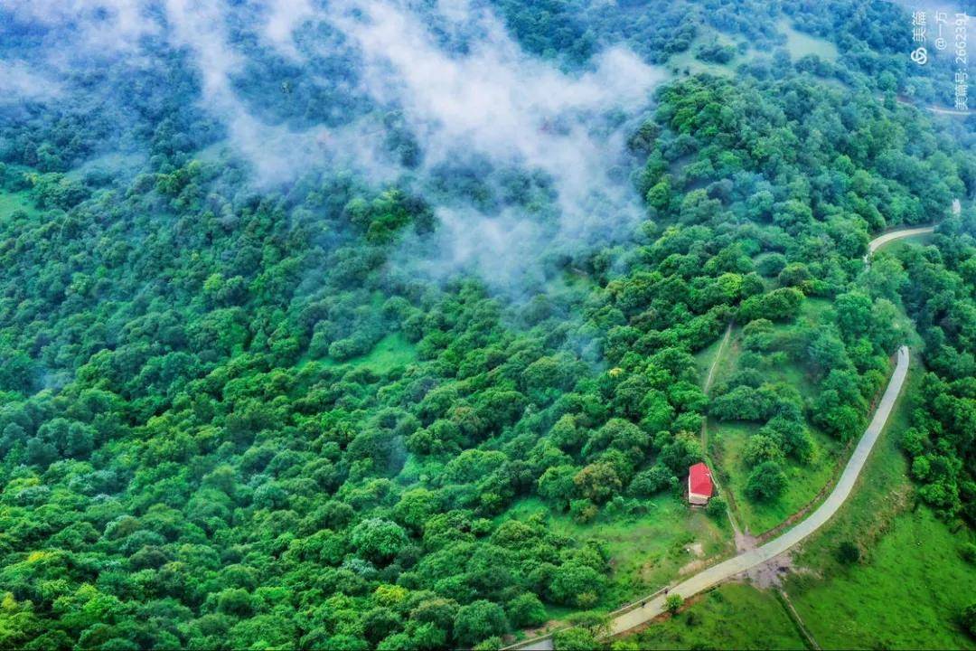 夏日来|夏日来关山草原，收获整个世界的温柔！